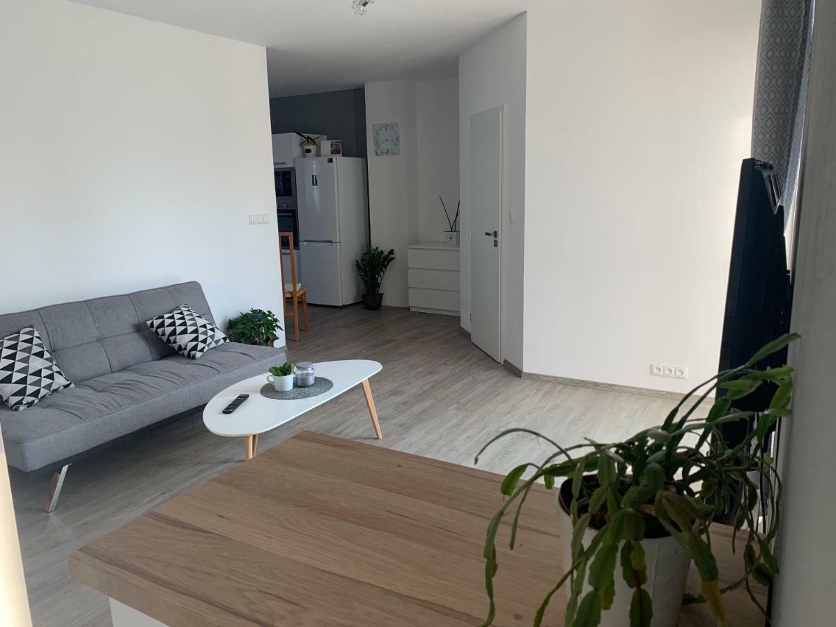Tolarova Apartman Pardubice Zewnętrze zdjęcie